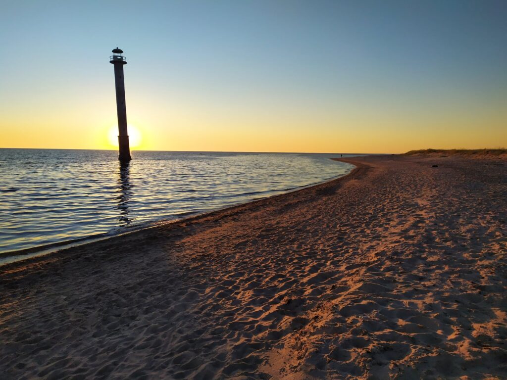 Getting to Saaremaa is easy – just pick the best option for you  By Bus: Saaremaa is well-connected to the mainland with regular bus services from various towns. You can purchase tickets in advance online at www.tpilet.ee By Car: Driving from Tallinn to the Port of Virtsu takes less than two hours, making it a convenient option. Visit www.praamid.ee to check the timetable and buy tickets. E-tickets allow for a hassle-free experience, with no need for printing. ​ By Plane: The fastest way to get to Kuressaare is by a 40-minute flight from Tallinn. The airport is just 3 kilometers from the city center. Check flight schedules and book your tickets online at https://flynyx.com/ By Yacht: Yacht owners can plan their own routes and harbor information is available at https://saarteliinid.ee/en/.