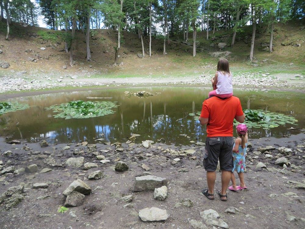 13909230_1154772004564698_4910614350420680895_o