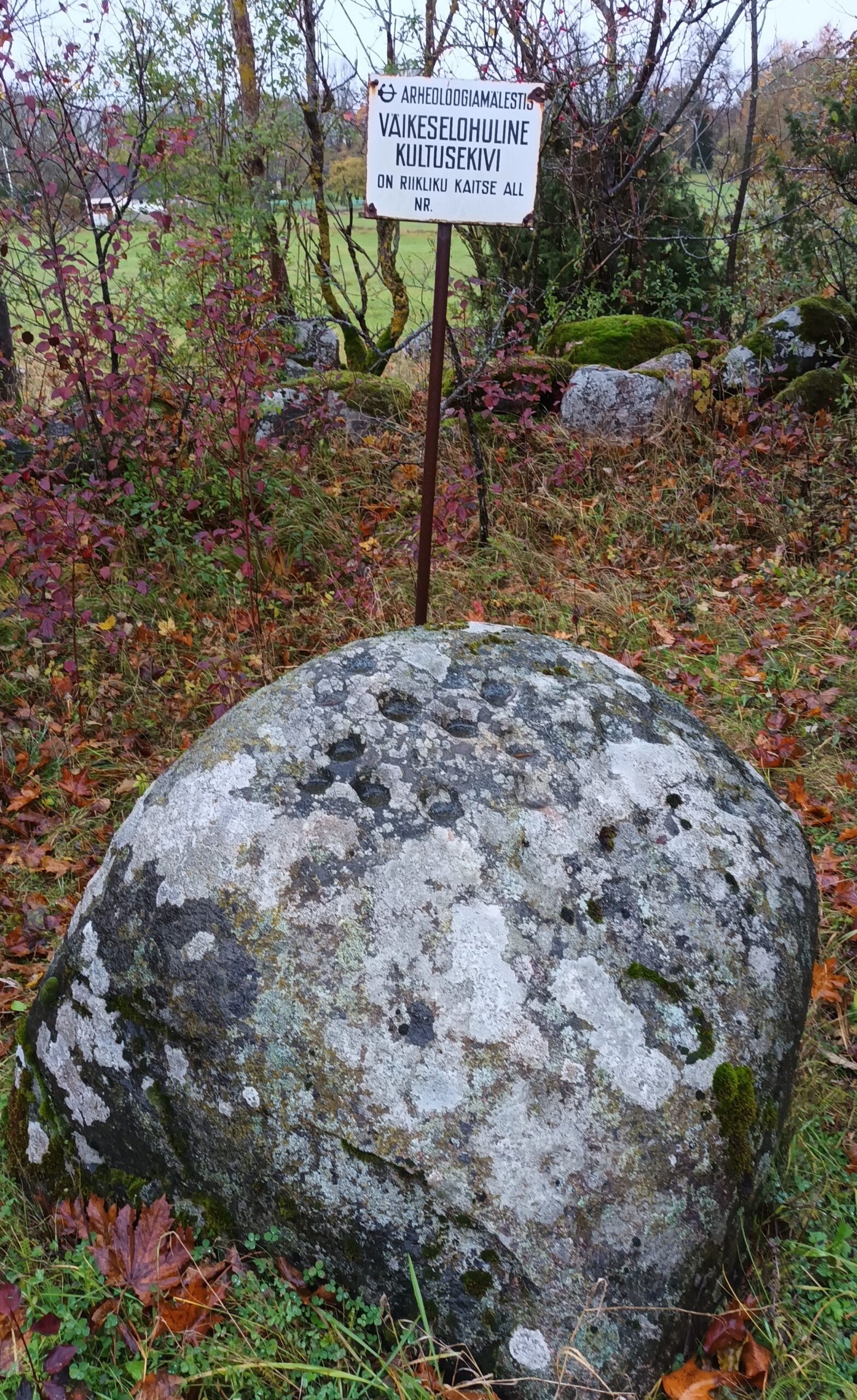 20231101_162036[1]