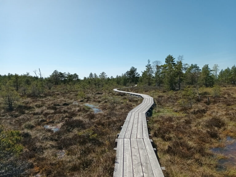 20240501-130620-1_orig