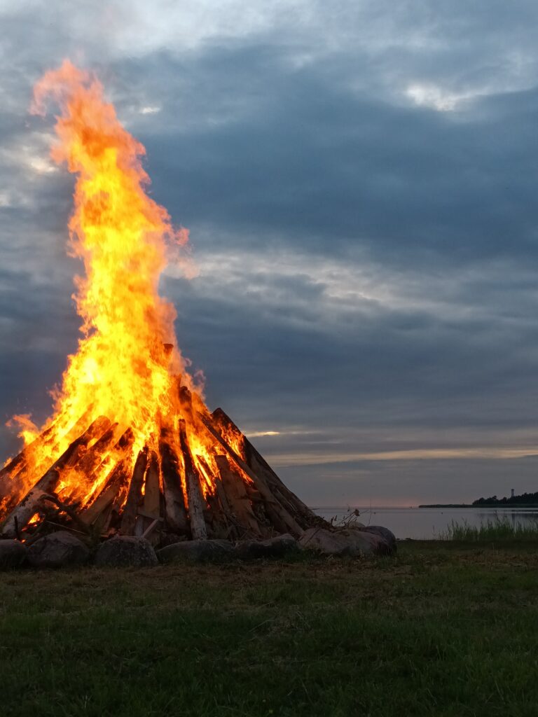 Getting to Saaremaa is easy – just pick the best option for you   By Bus: Saaremaa is well-connected to the mainland with regular bus services from various towns. You can purchase tickets in advance online at www.tpilet.ee  By Car: Driving from Tallinn to the Port of Virtsu takes less than two hours, making it a convenient option. Visit www.praamid.ee to check the timetable and buy tickets. E-tickets allow for a hassle-free experience, with no need for printing. ​ By Plane: The fastest way to get to Kuressaare is by a 40-minute flight from Tallinn. The airport is just 3 kilometers from the city center. Check flight schedules and book your tickets online at https://flynyx.com/  By Yacht: Yacht owners can plan their own routes and harbor information is available at https://saarteliinid.ee/en/.