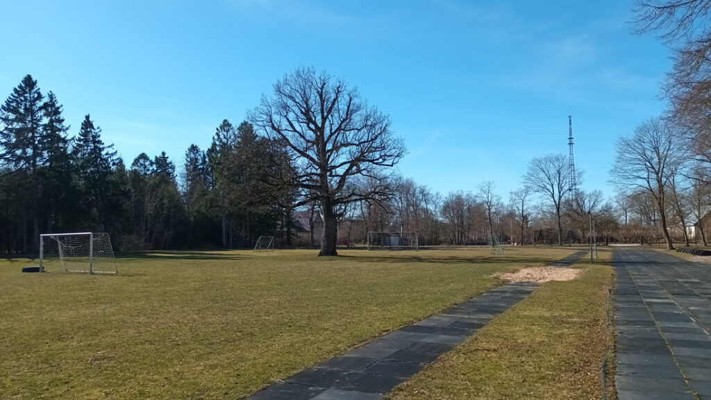 20250319-125057-1_orig