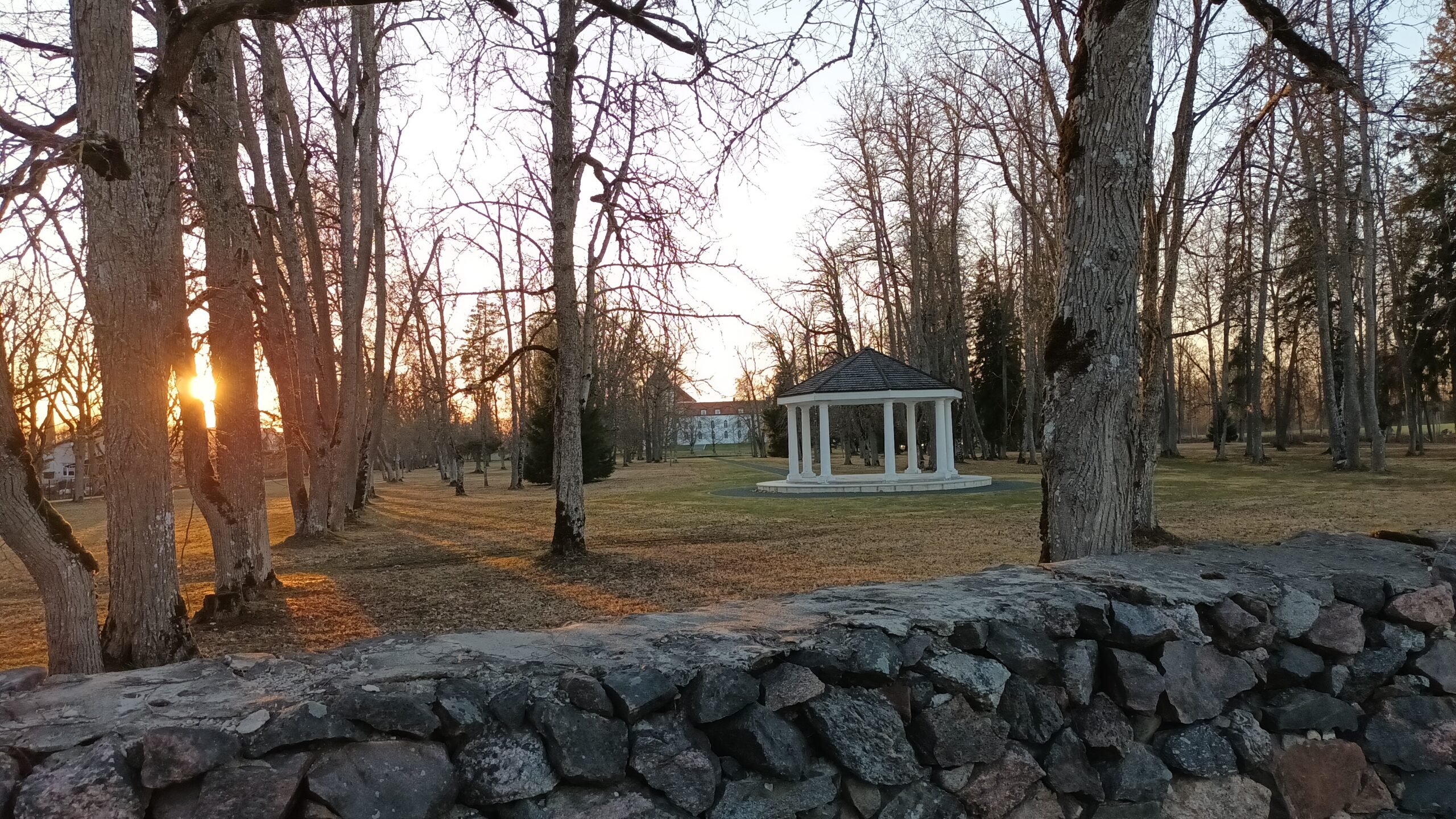 20250407_194754[1]
